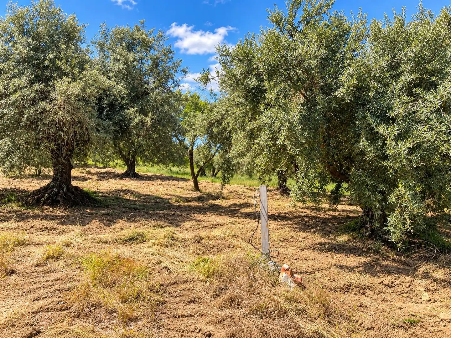 Maison rustique avec jardin à vendre à Carretera Fuente del Lobo Poligono, imagen 16