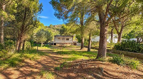 CHALET RUSTICO, PARCELA 1.014 m2 EN ALFARB  CHIMENEA Y AMPLIO PORCHE  LUZ ELECTRICA Y AGUA