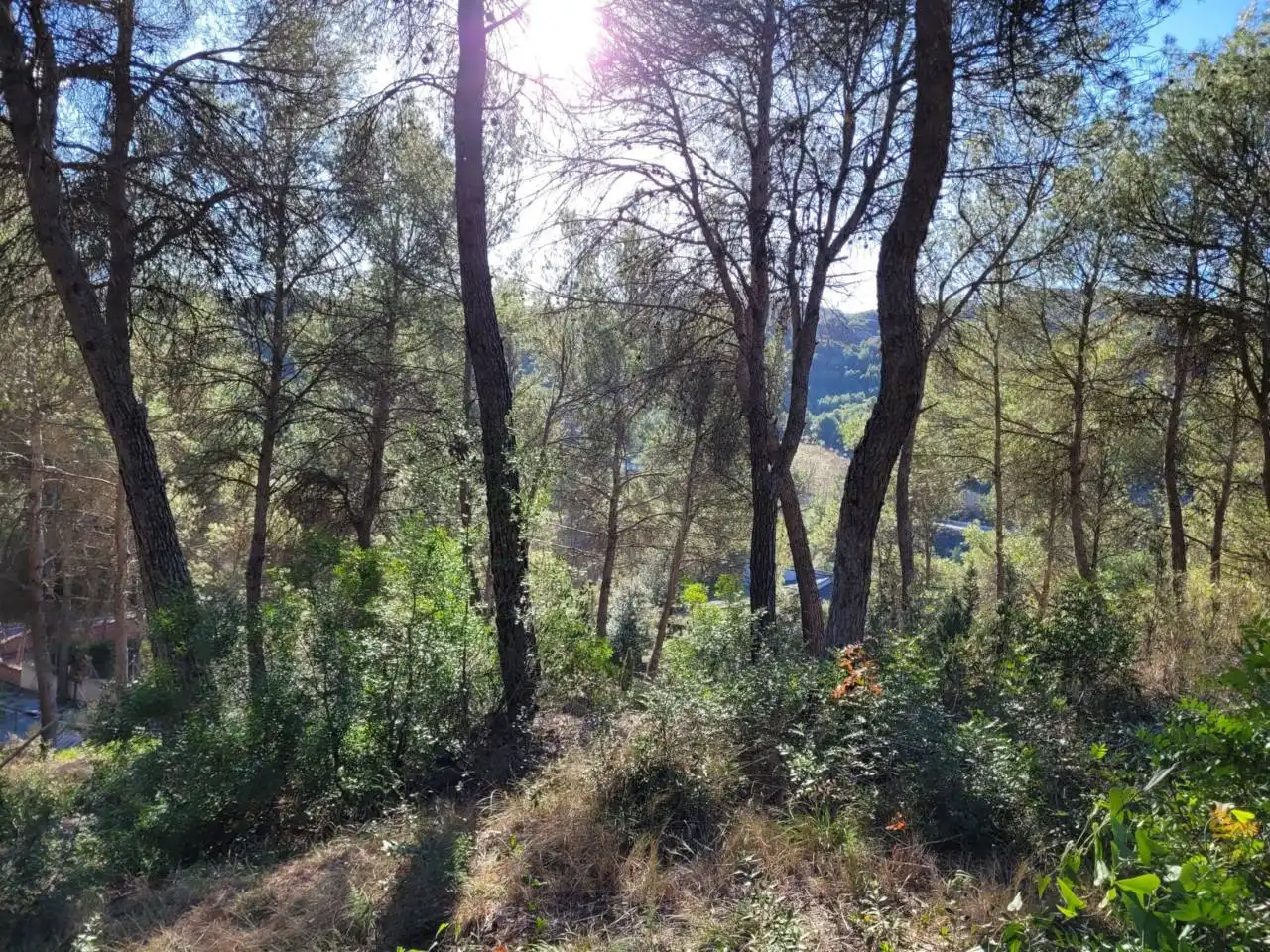 Casa o xalet en venda en Vacarisses amb Aire condicionat, Jardí privat i Piscina