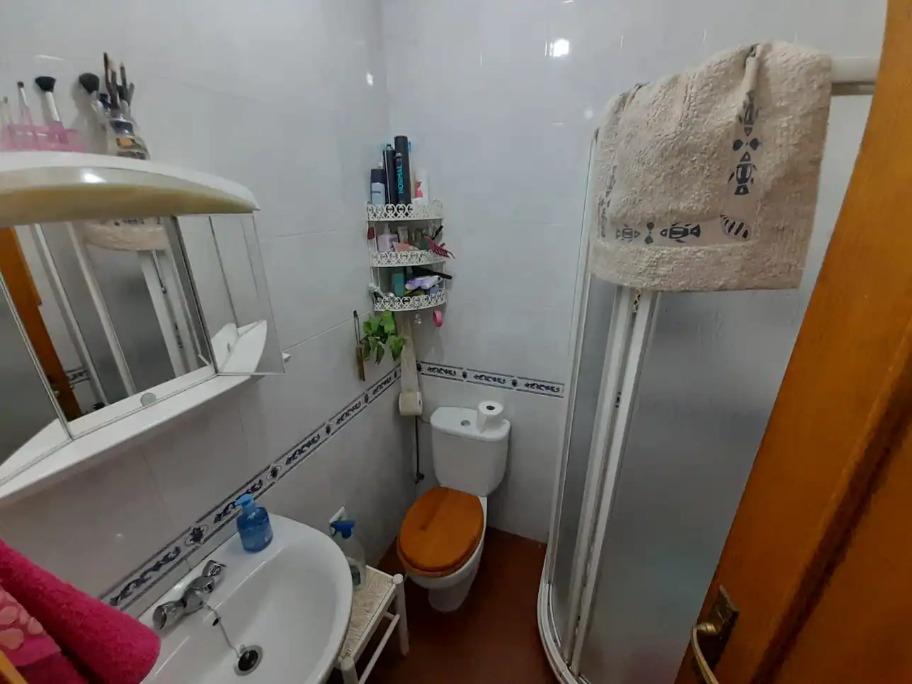 House with garden for sale in Carretera de Córdoba - Libertad, imagen 22