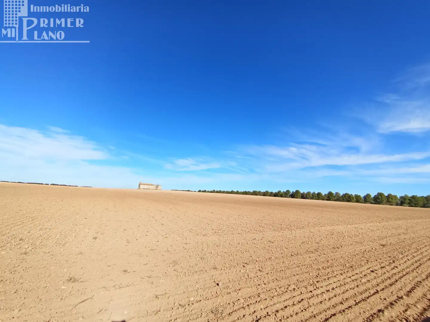 Terreny residencial en venda a Argamasilla de Alba