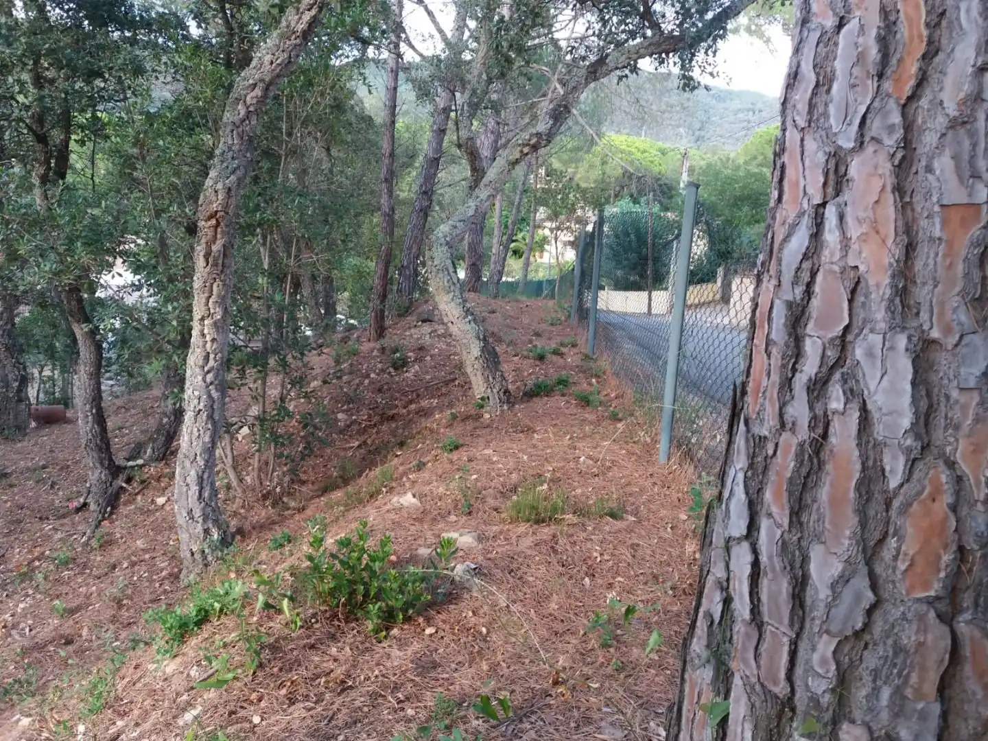 Terreno residencial en venta en Avinguda del Bell-lloc, imagen 15