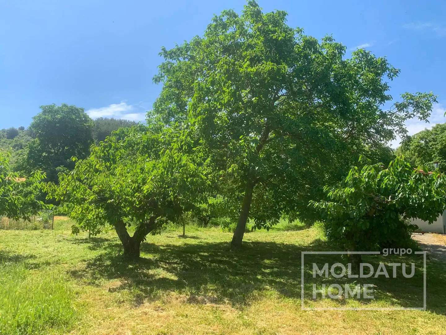 Terreno en venta en Belascoáin