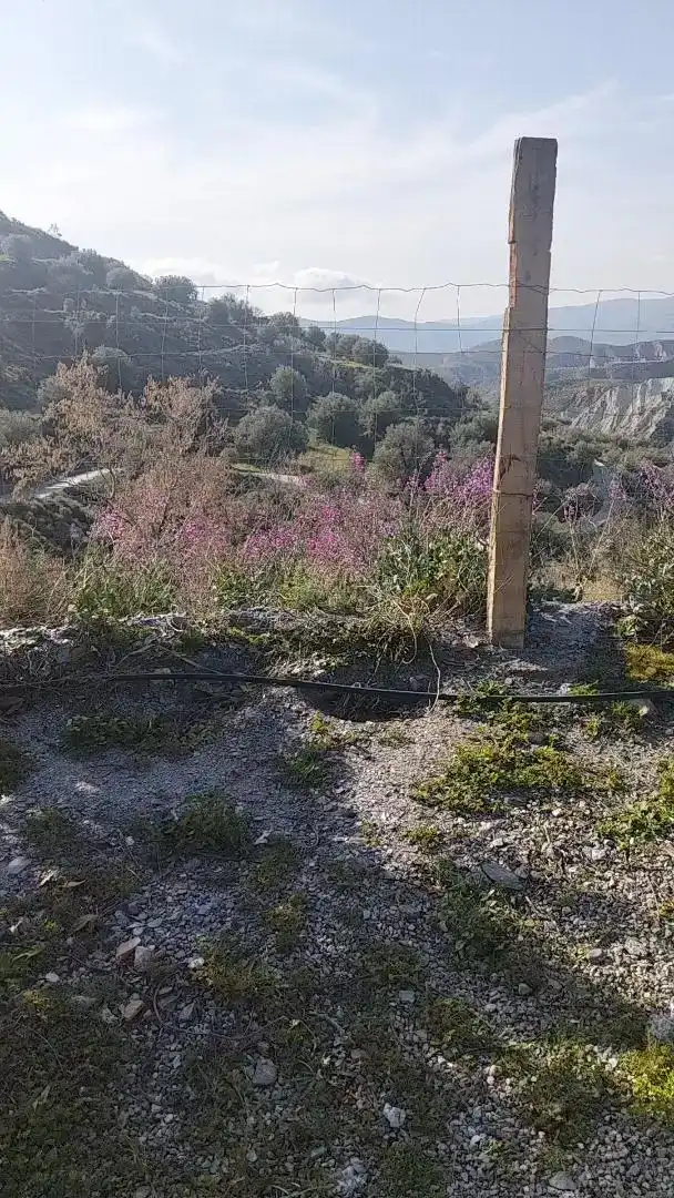 Finca rústica en venda en Válor