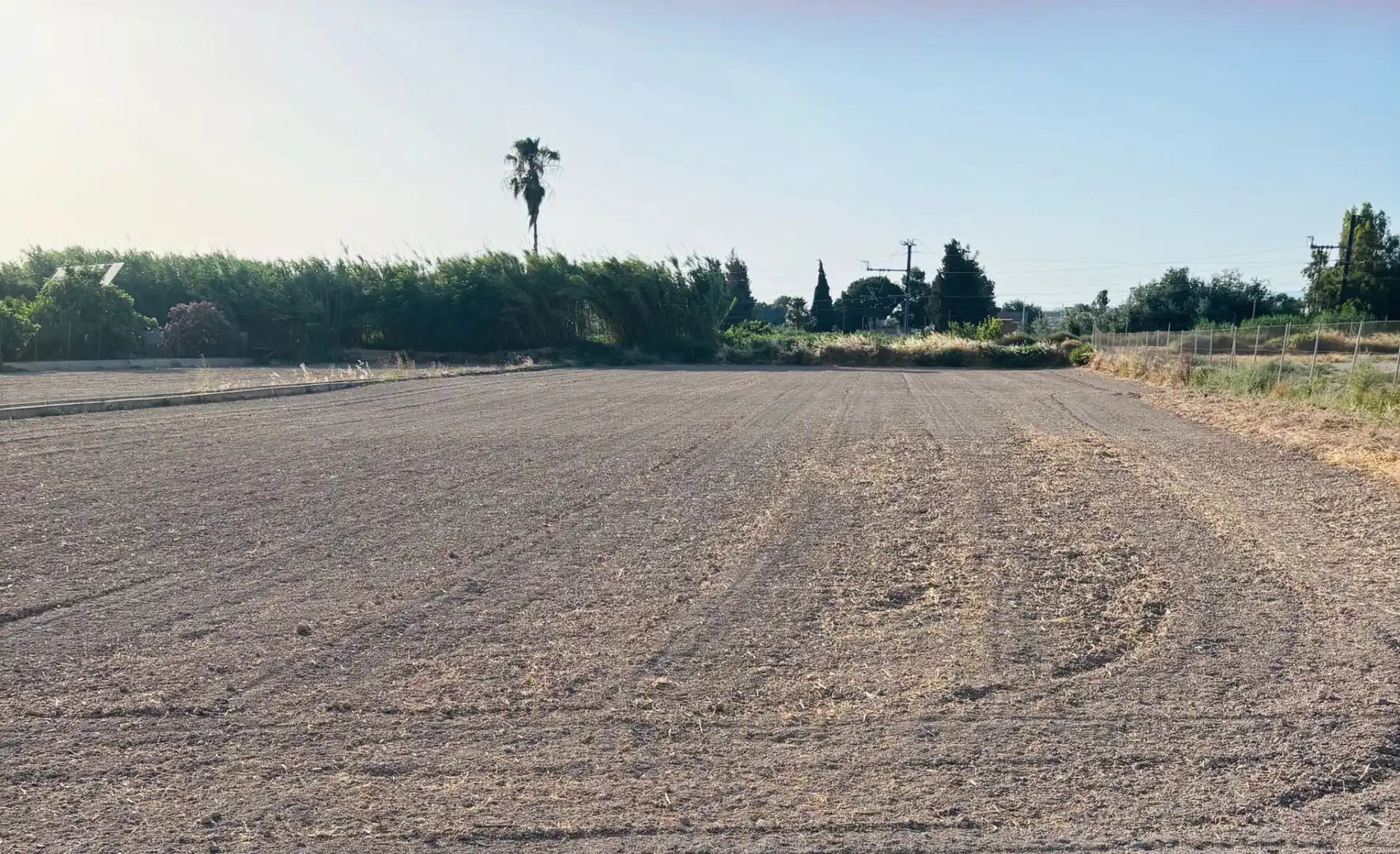Terreny rústic en venda a Pedanías Este, imagen 2