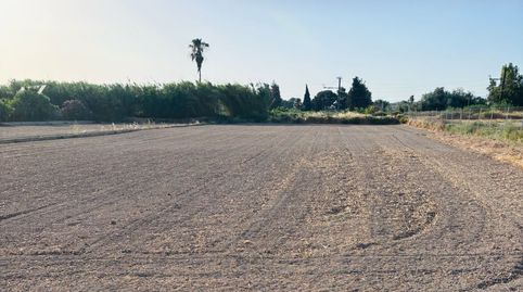 Parcela rústica de 1.600 m² - a 2 minutos del Club Cordillera, imatge 2