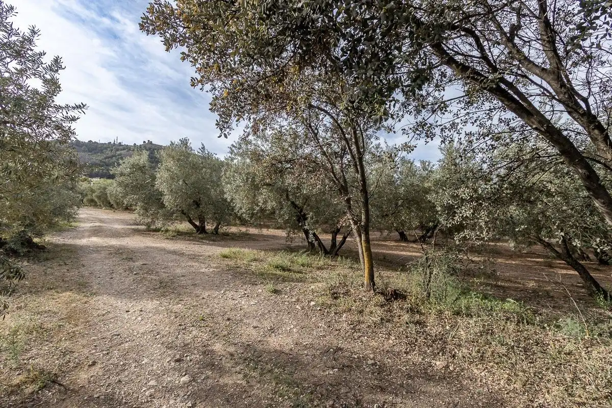 Terreno residencial en venta en Calle Pago de la Sierra, imagen 4