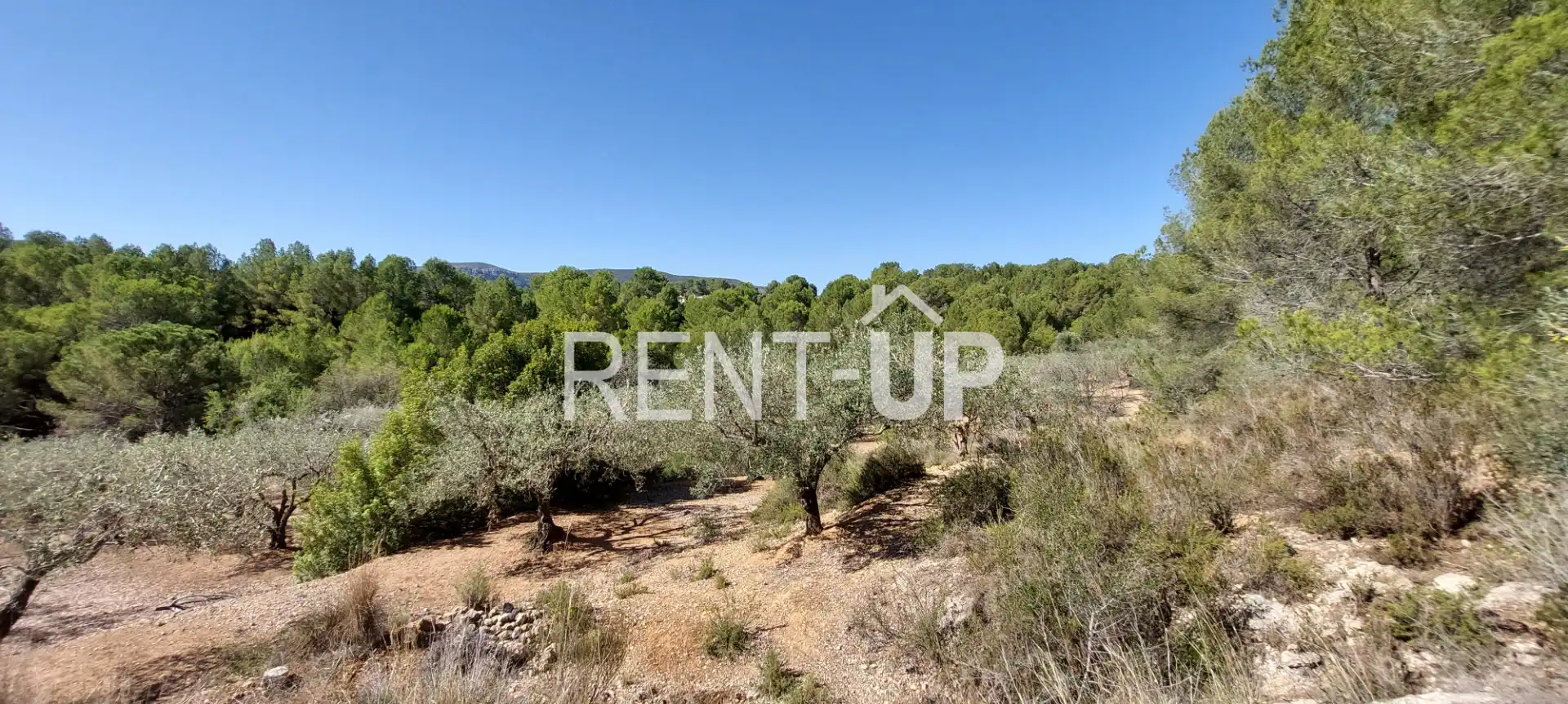 Terreny rústic en venda a Xàtiva, imagen 7