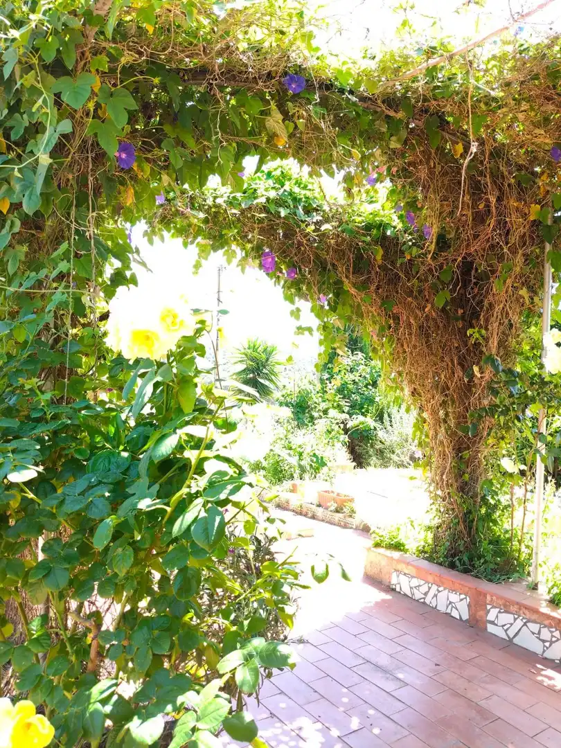 Jardí de Casa o xalet en venda en Olesa de Montserrat amb Calefacció, Terrassa i Alarma