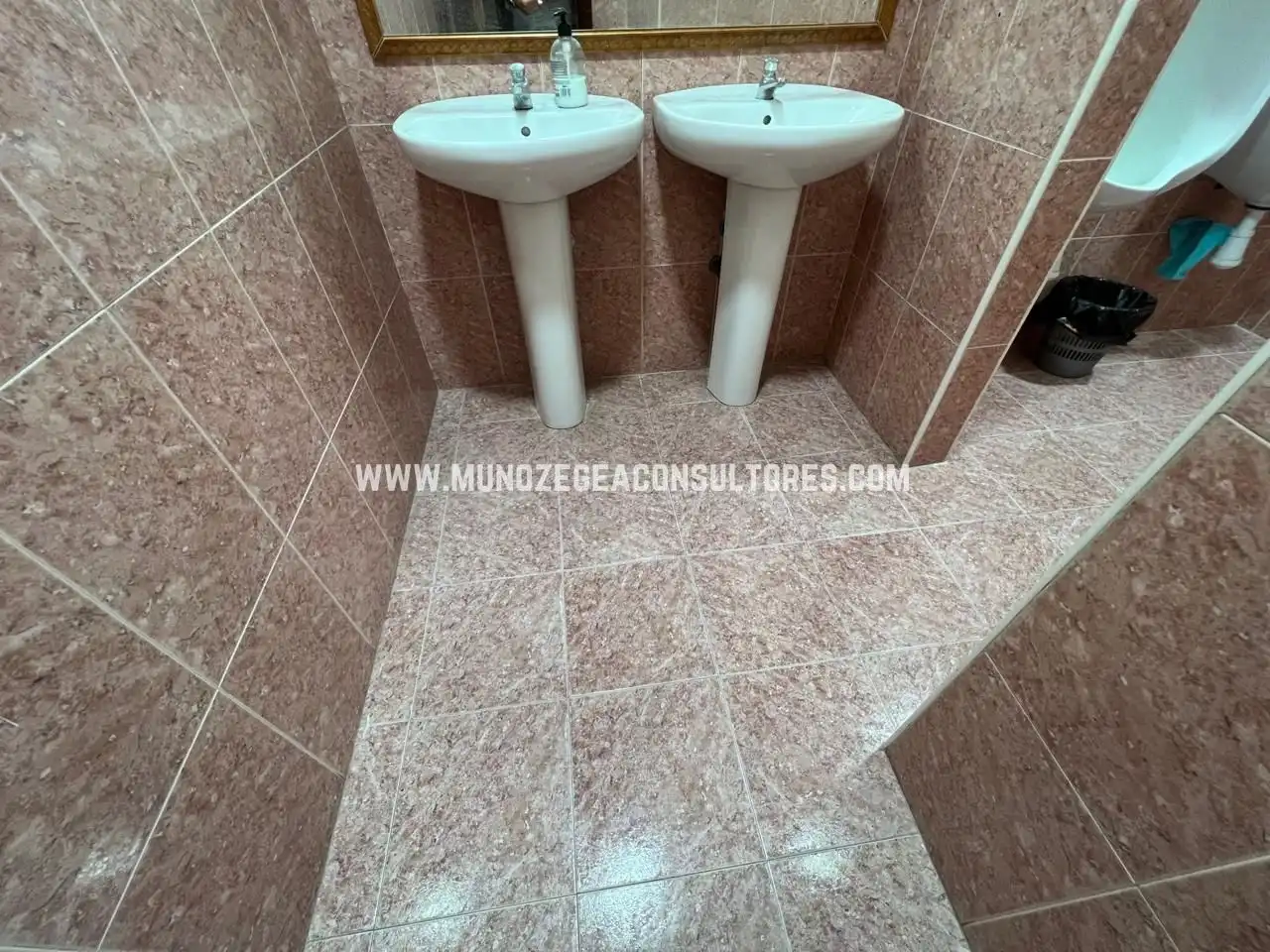 Gewerbefläche zur Miete in Córdoba - Málaga, imagen 9