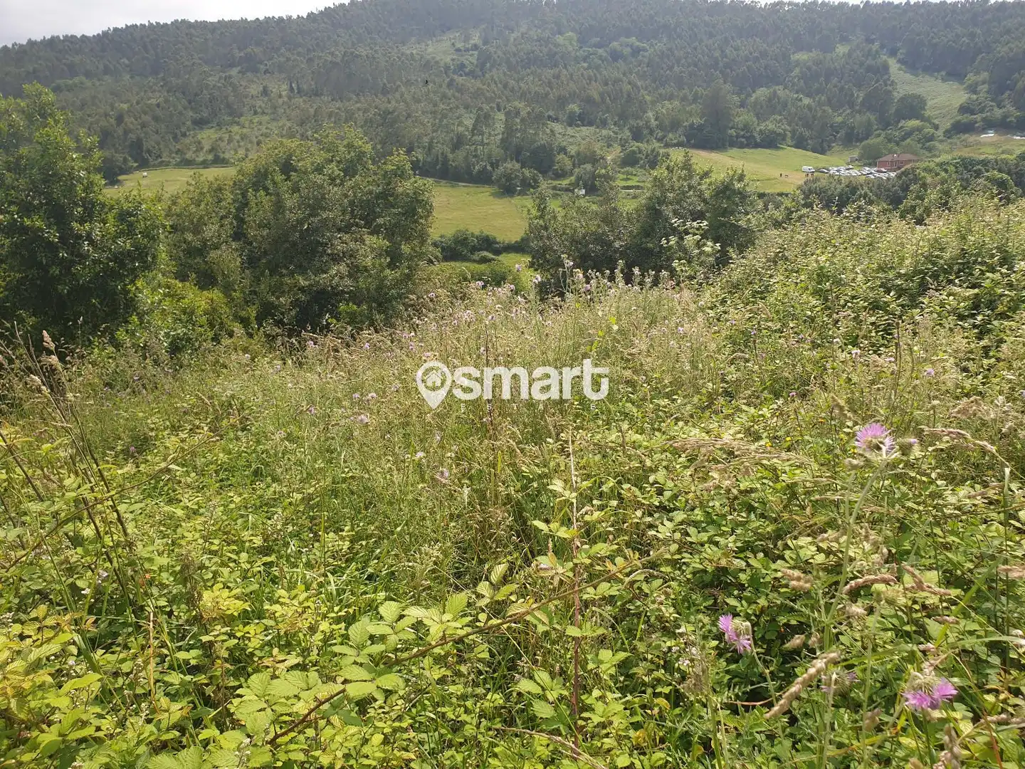 Terreno en venta en Villaviciosa