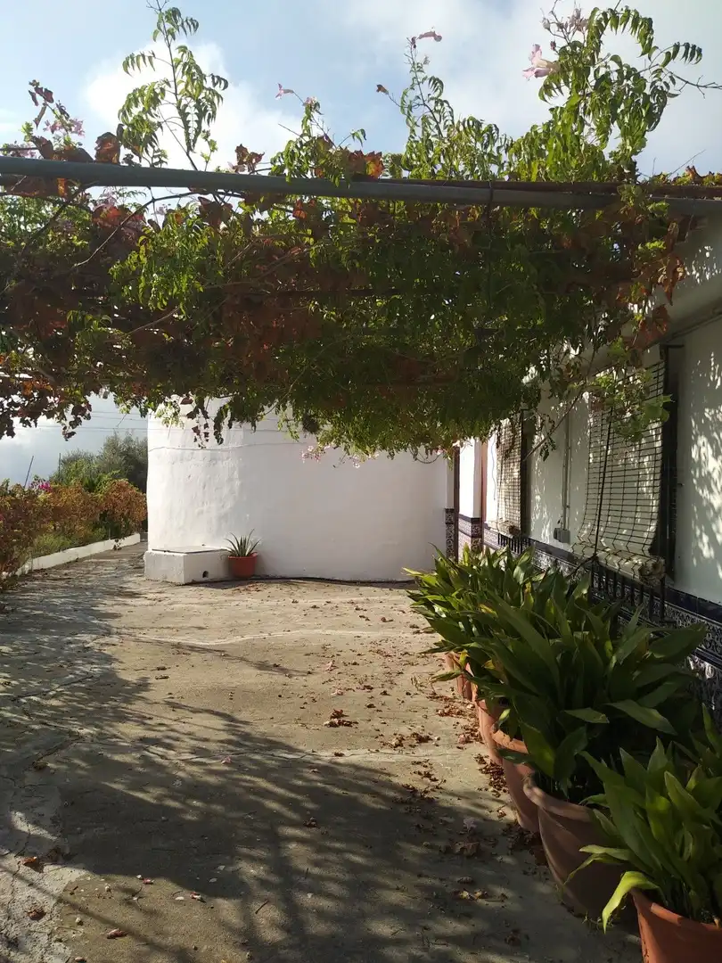 Casa rústica amb jardí en venda a Motril  ciudad, imagen 13