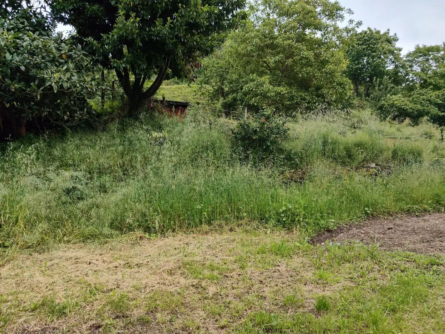 Residential for sale in Lena