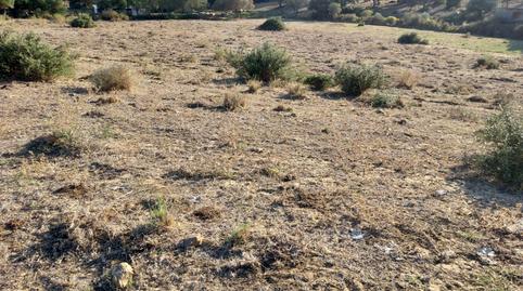 Photo 5 of Residential to rent in Tarifa ciudad, Cádiz