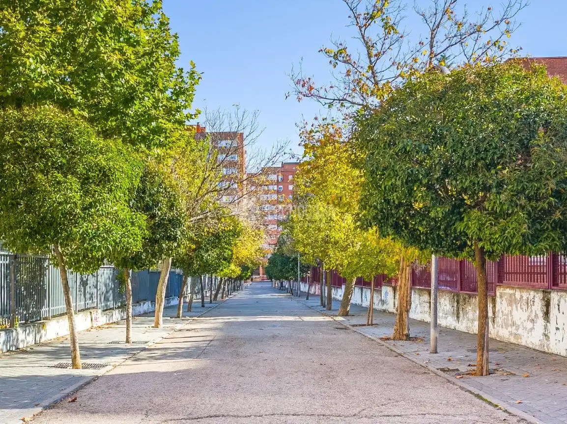 Individual for sale in El Carrascal, imagen 5