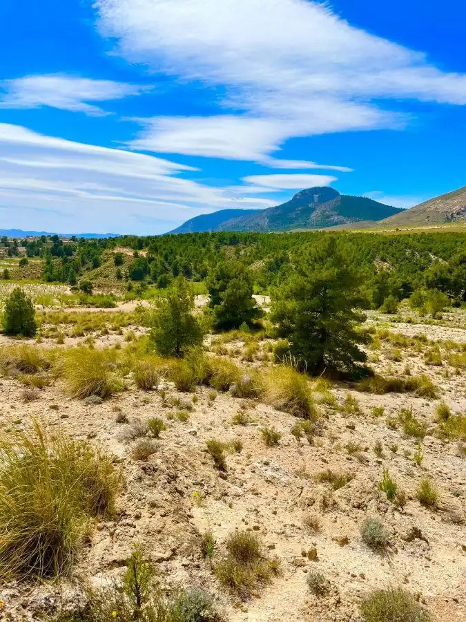 Terreni e lotti in vendita a Pedanías Norte, imagen 7