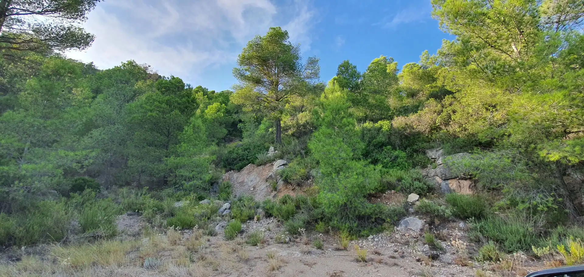 Wohnbaugrundstück zum Verkauf in El Pinell de Brai, imagen 4
