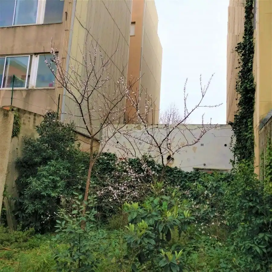 Terreny residencial en venda a Creu de la Mà, imagen 5