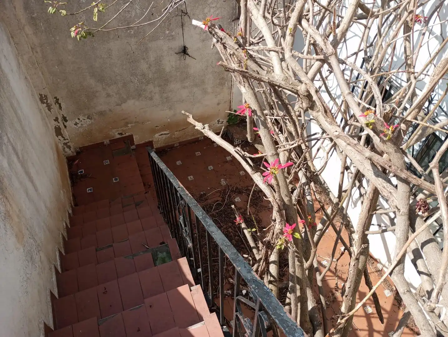 House with garden for sale in La Granja - La Colina - Los Pastores, imagen 20