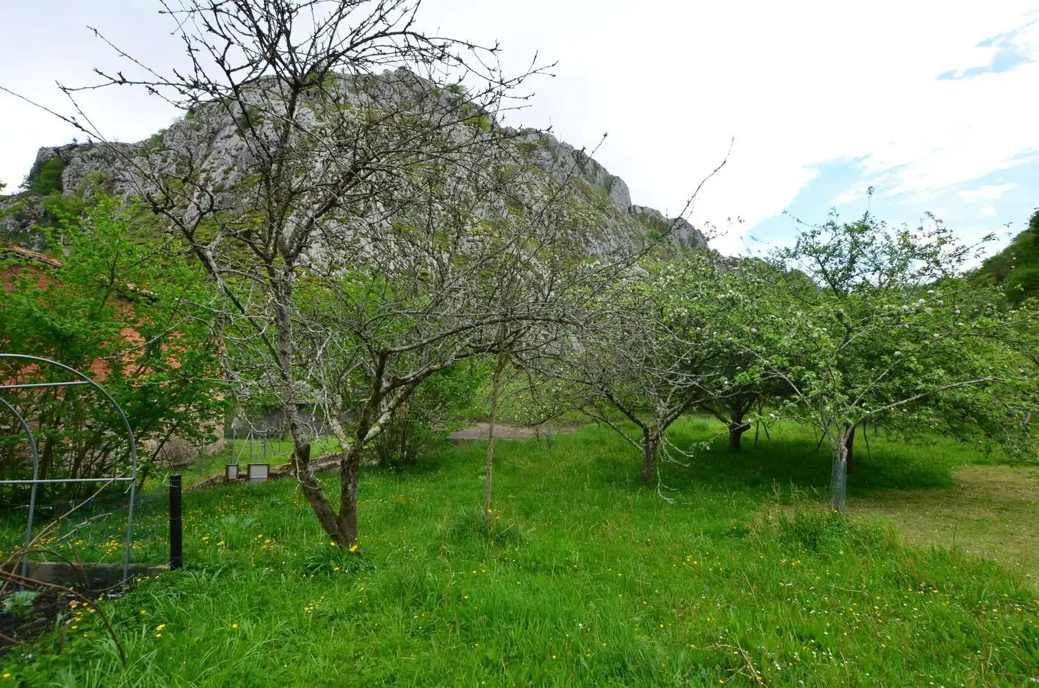 Jardí de Casa o xalet en venda en Piloña amb Calefacció, Terrassa i Traster