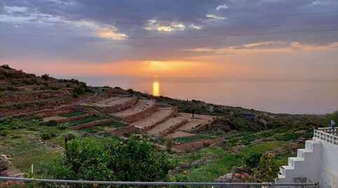 Foto 3 de Finca rústica en venda a Camino Montaña Abajo, El Escobonal - Pájara, Güímar