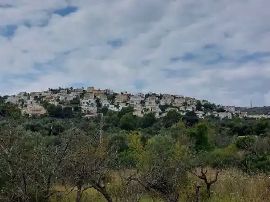 Exterior view of Land for sale in Orba