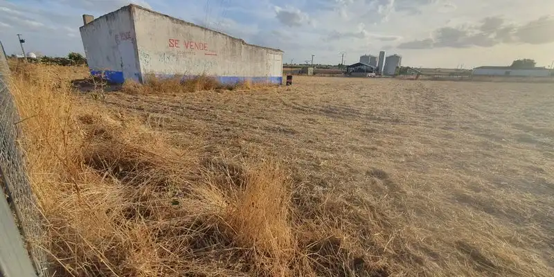 Terreno rústico en venta en Polígono 132, imagen 3
