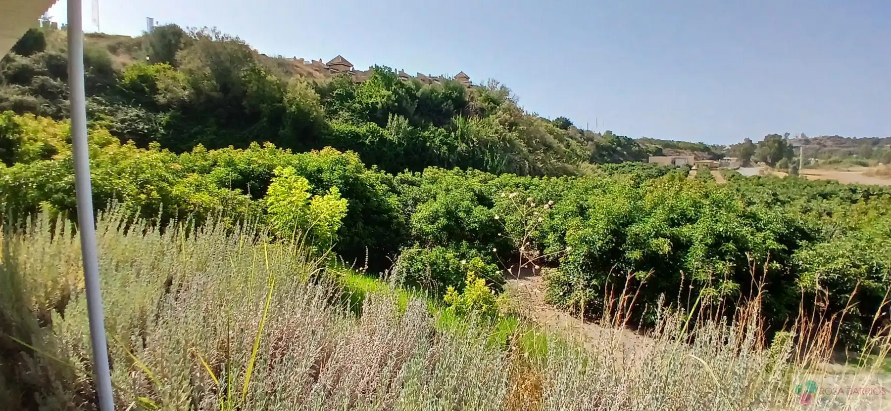 Terreni e lotti in vendita a Benamara - Atalaya