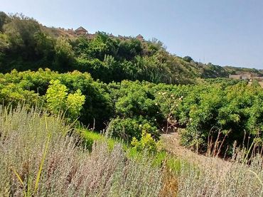 Grundstücke und Bauplätze zum Verkauf in Benamara - Atalaya