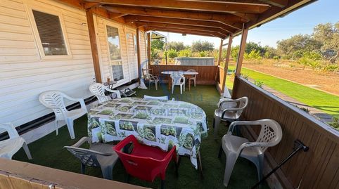 Foto 2 de Finca rústica en venta en Camino Rufino, Oromana, Alcalá de Guadaira