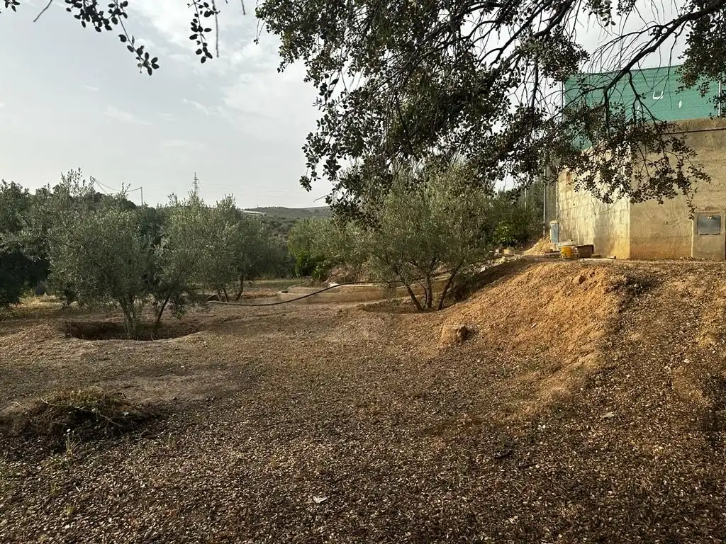 Terrain rustique à vendre à Peligros, imagen 2