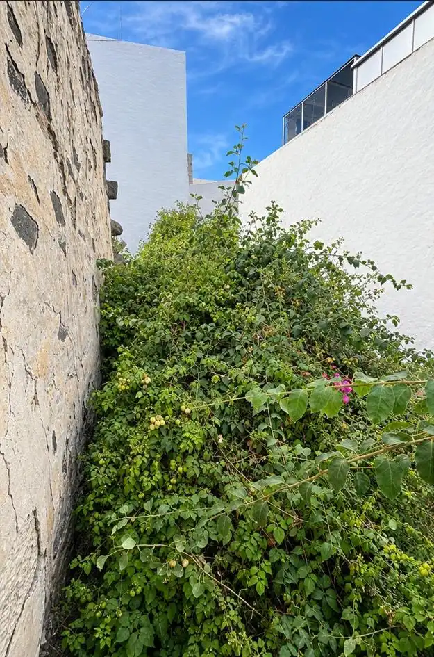 Residential land for sale in Calle SAN FRANCISCO JAVIER, imagen 3