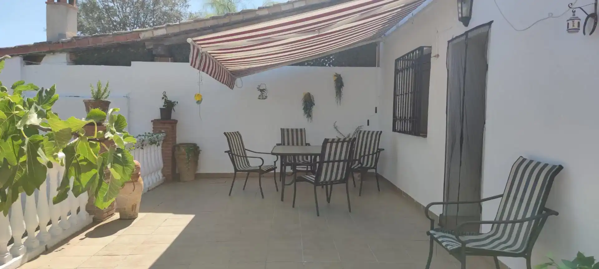 Terrassa de Casa o xalet en venda en Peal de Becerro, Jaén
