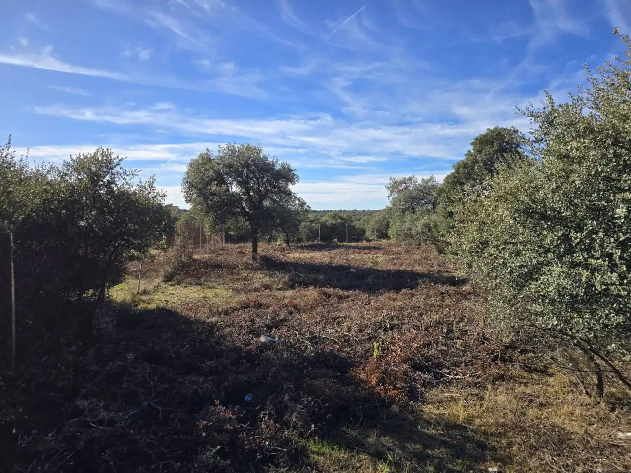 Terreno residencial en venta en Pioz, imagen 4