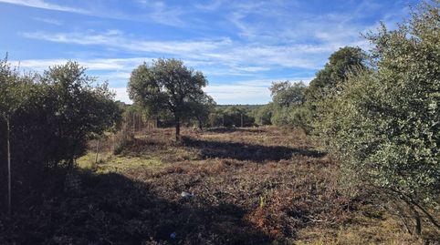Terreno en venta en Pioz, immagine 4