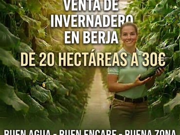 Terreno rustico in vendita a Calle Engarpe 46D