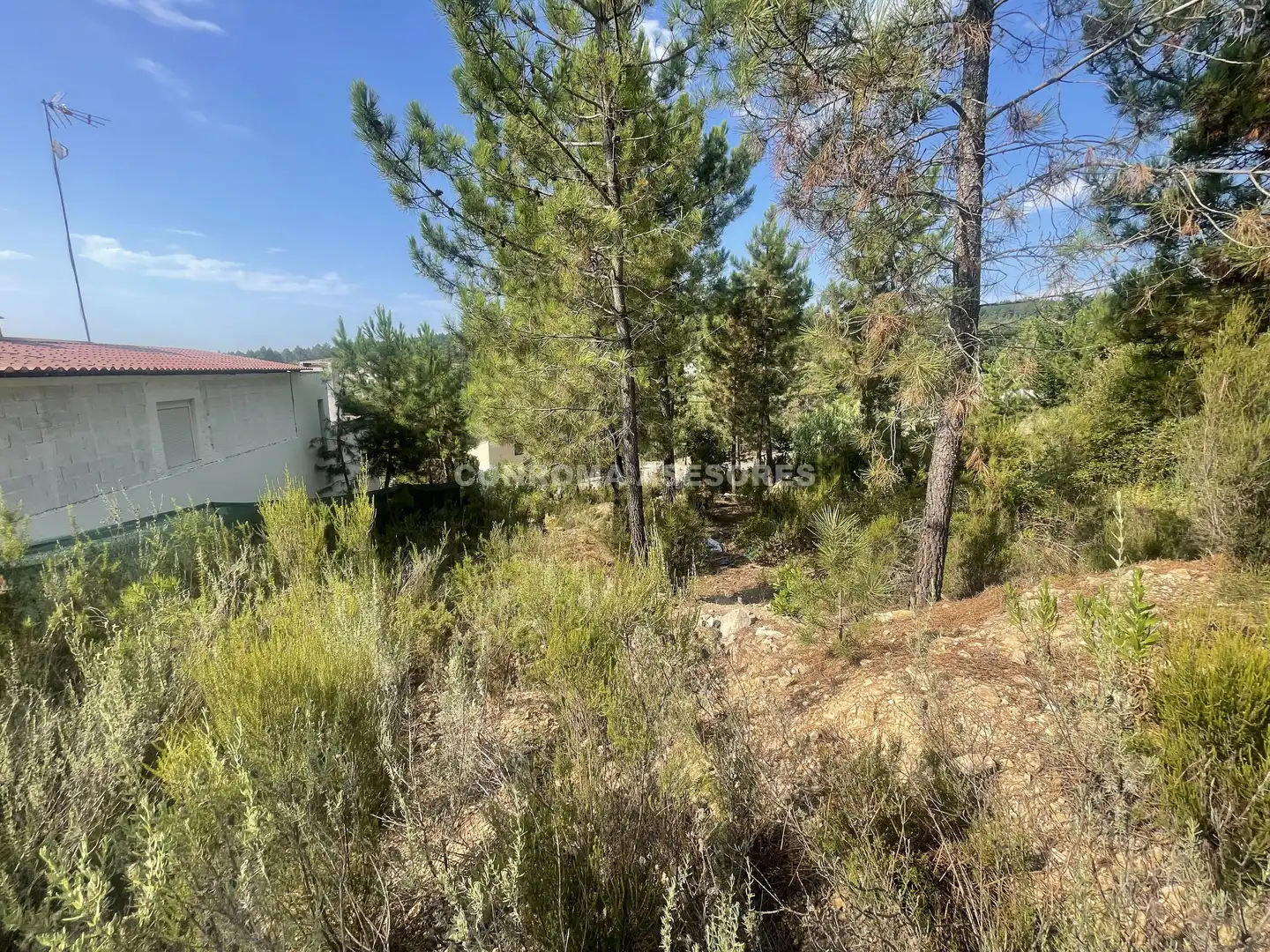 Terreno residenziale in vendita a Riudarenes, imagen 10