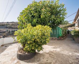 Vista exterior de Finca rústica en venda en Telde amb Jardí privat i Terrassa