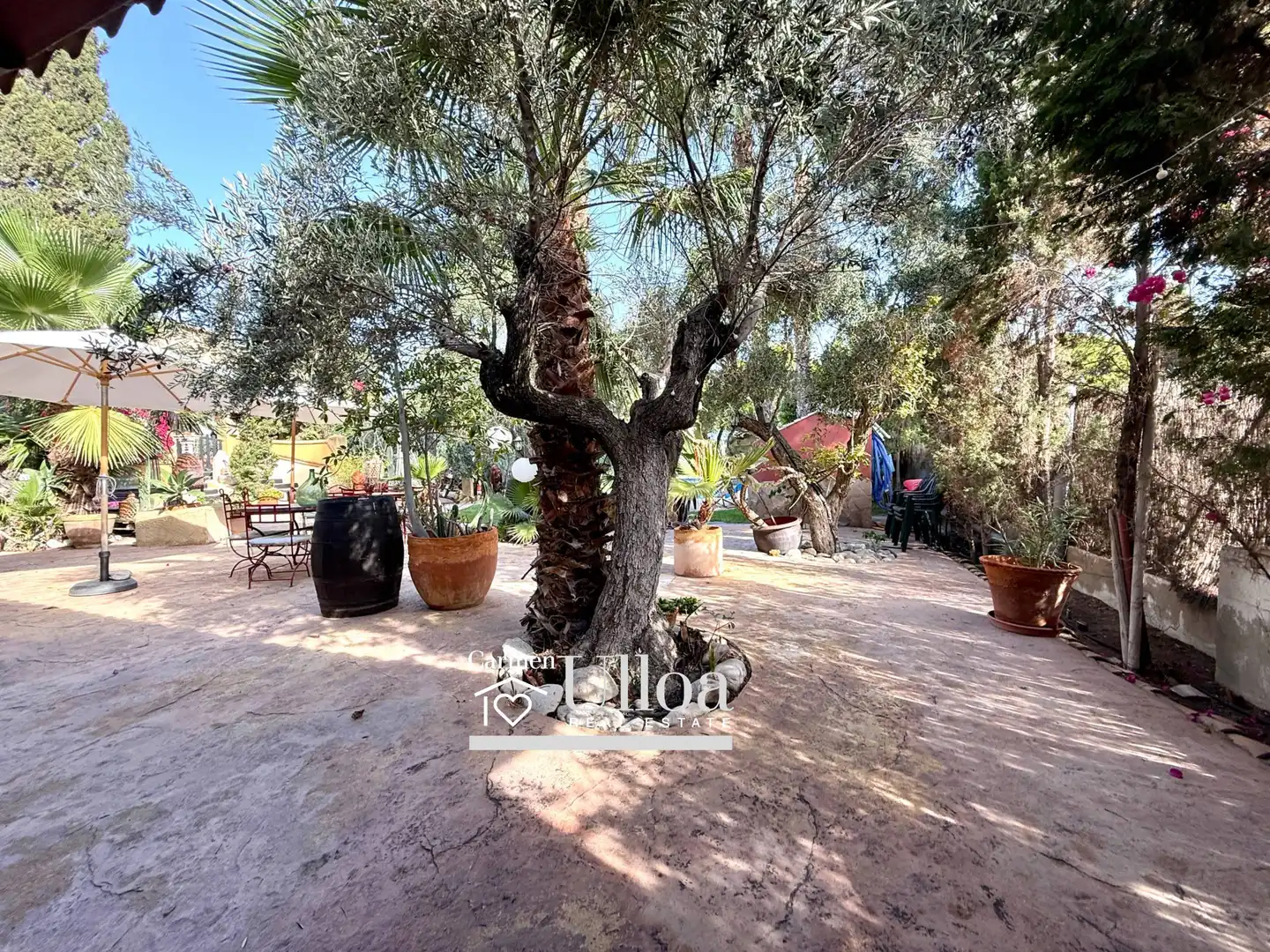 Jardí de Casa o xalet en venda en Alicante / Alacant amb Jardí privat, Terrassa i Traster
