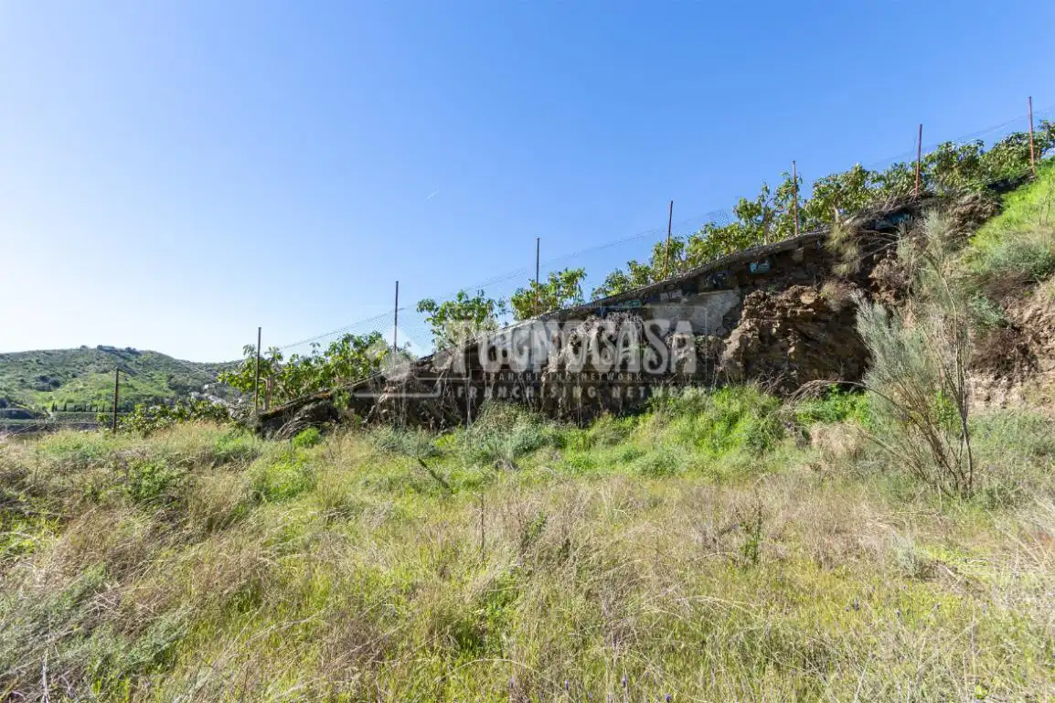 Terreno rústico en venta en Vélez-Málaga ciudad, imagen 11