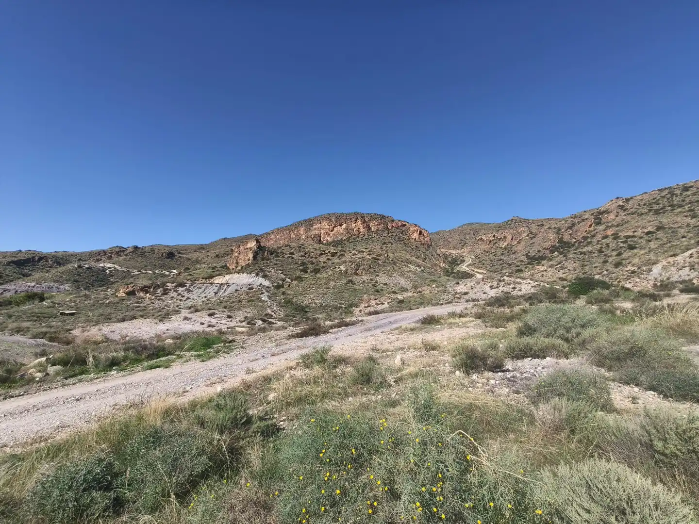 Terreny rústic en venda a Las Majadas-Las Molinetas-Labradorcico, imagen 7