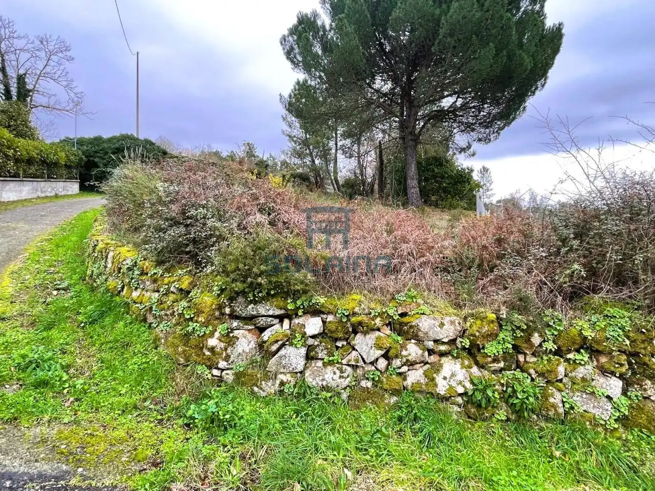 Terreni e lotti in vendita a O Pereiro de Aguiar, imagen 11