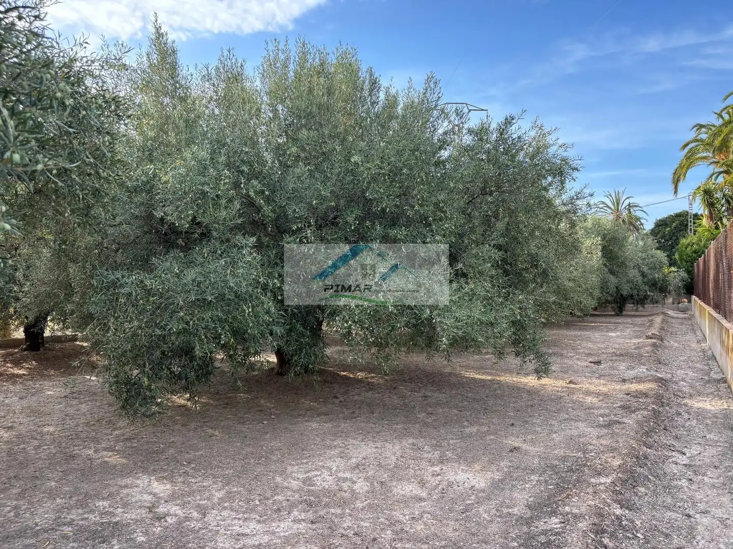 Residential for sale in Elche / Elx