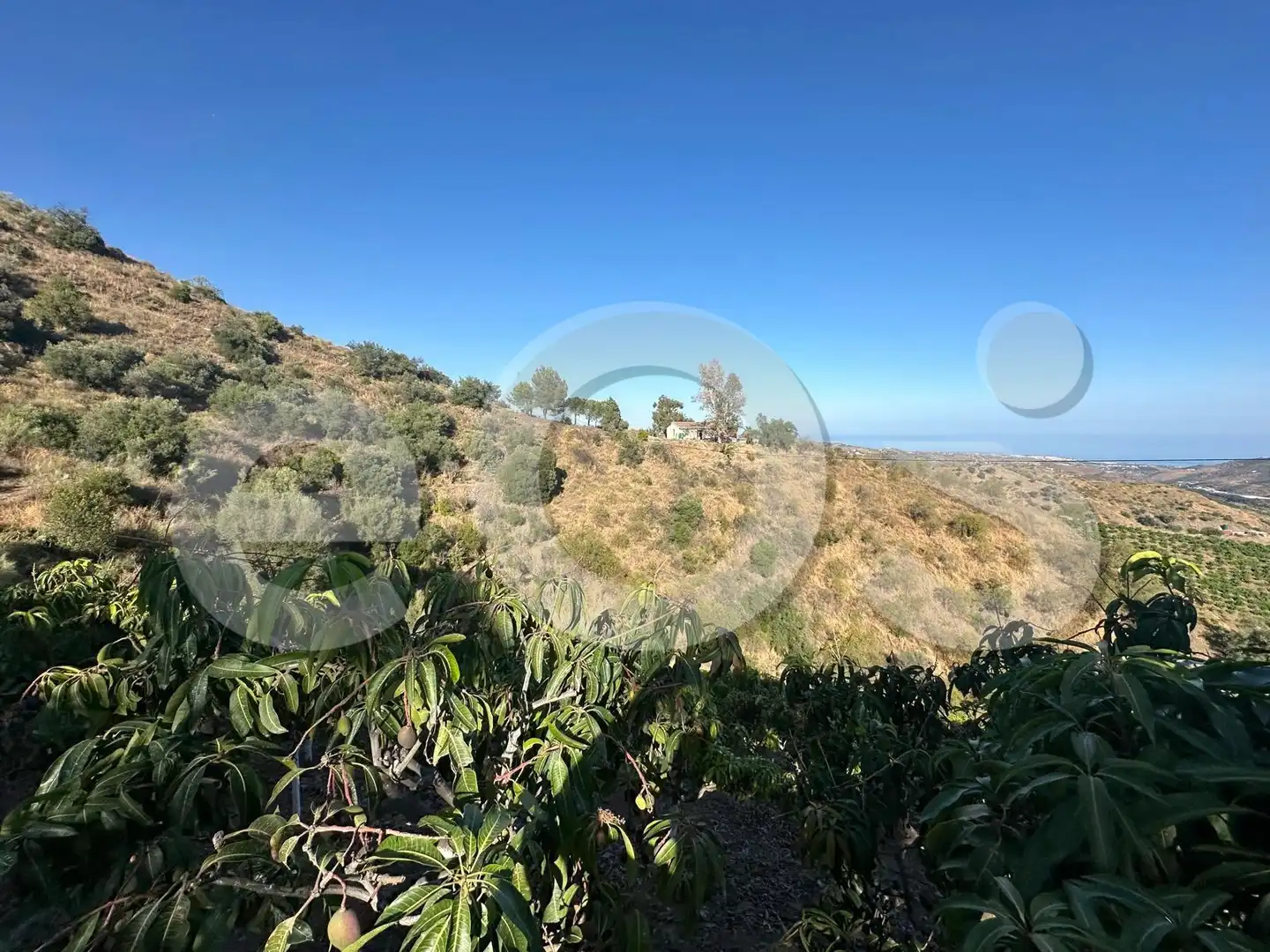 Terreno en venta en Macharaviaya