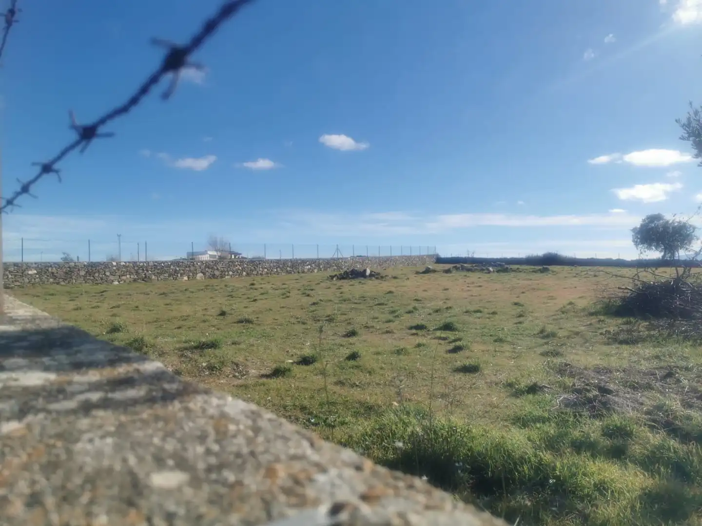 Land for sale in Cespedosa de Tormes