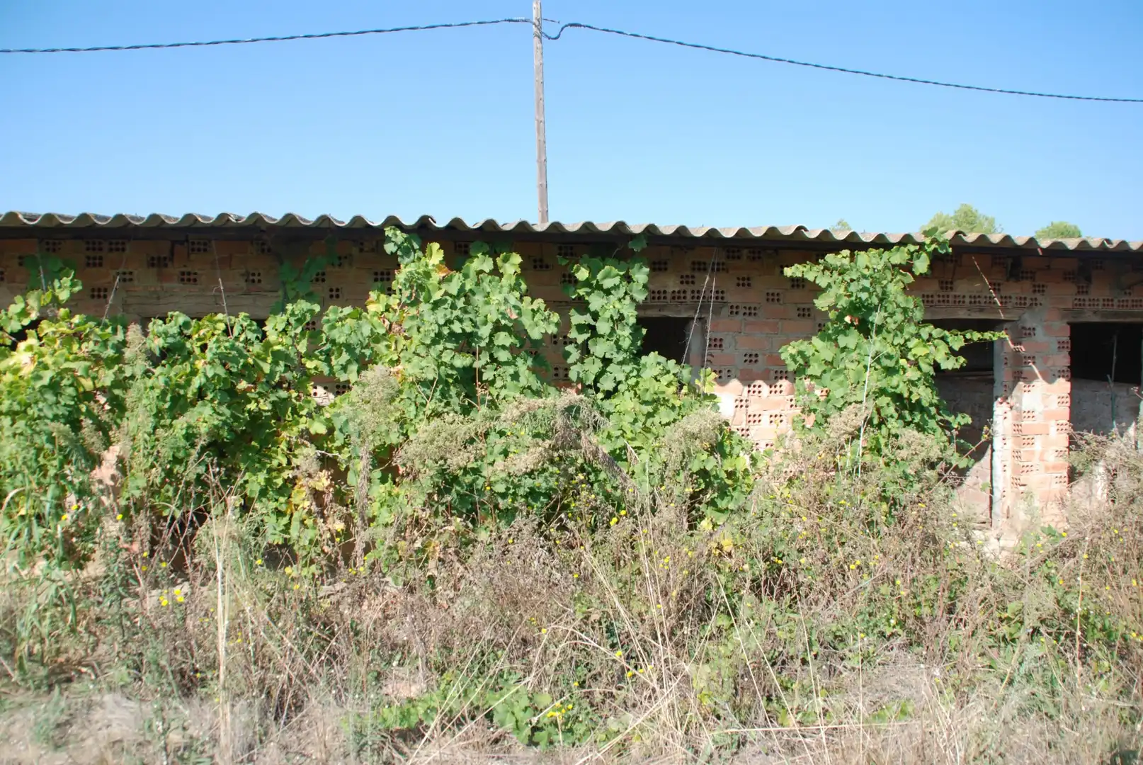 Local en venda en Pueyo de Santa Cruz