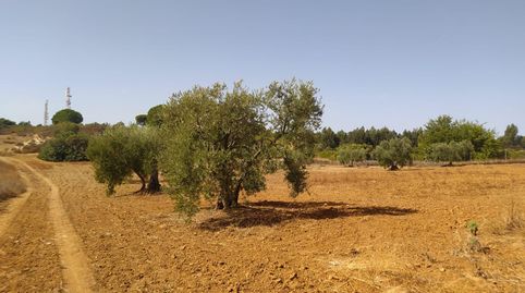 VillarrasaFinca Rustica