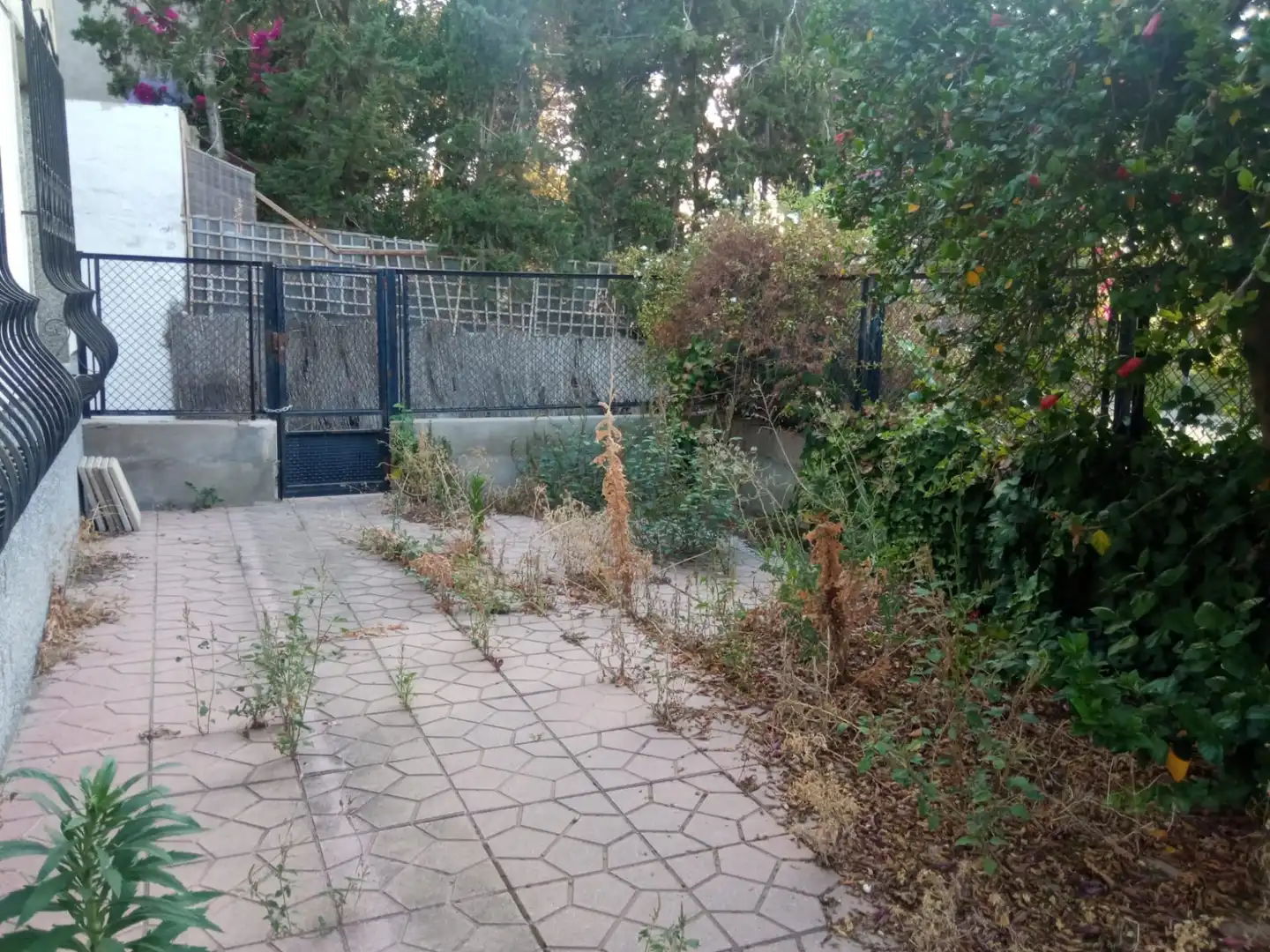 Country homes for sale in Los Ramos