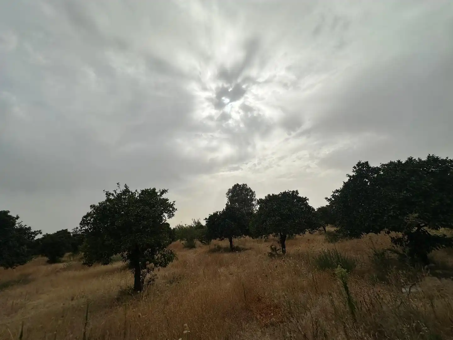 Terreni e lotti in vendita a Pedanías Norte, imagen 16