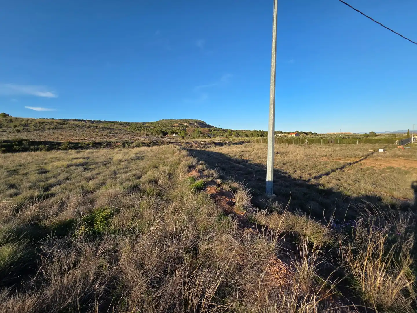 Residential land for sale in Yecla, imagen 2